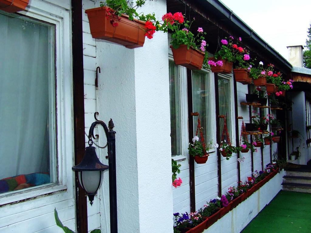 Hostel Domestika بيتولا الغرفة الصورة